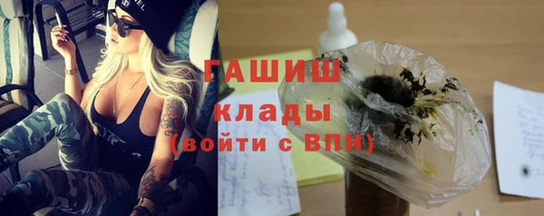 индика Лабытнанги