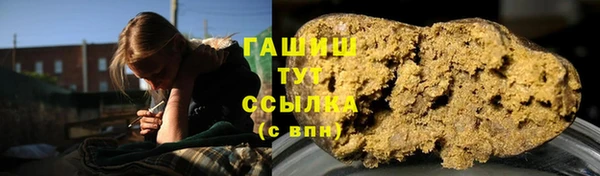 индика Лабытнанги