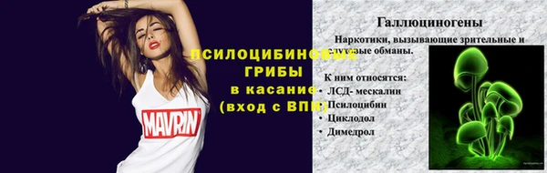 дживик Лагань
