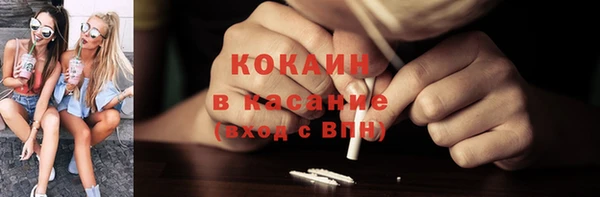 индика Лабытнанги