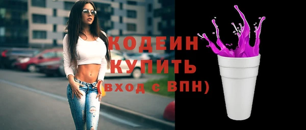 индика Лабытнанги