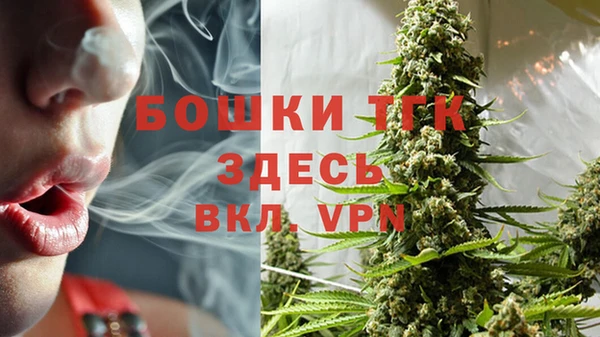 индика Лабытнанги