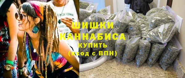 индика Лабытнанги