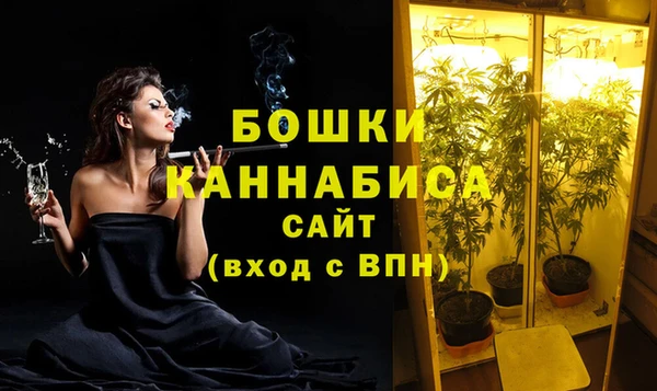 индика Лабытнанги