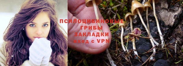 первитин Ладушкин