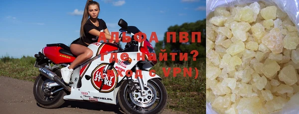 индика Лабытнанги